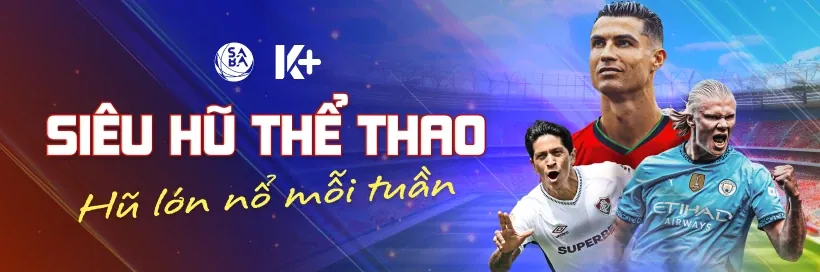 Hình ảnh minh họa các tính năng nổi bật của tiếp đá gà thomo